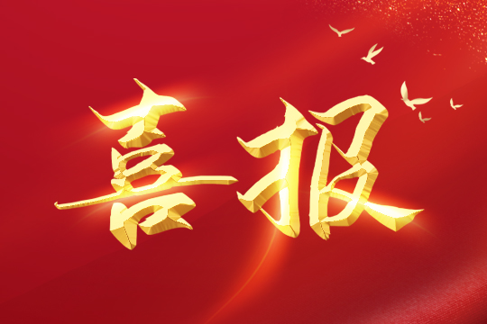 喜报 | k1十年体育品牌荣登2024粤港澳大湾区企业创新力榜单